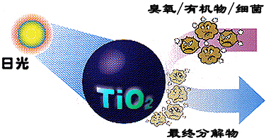 &#20061;&#24030;&#32593;&#39029;&#29256;&#45;&#20061;&#24030;&#40;&#20013;&#22269;&#41;&#95;&#20061;&#24030;&#40;&#20013;&#22269;&#41;