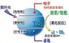&#20061;&#24030;&#32593;&#39029;&#29256;&#45;&#20061;&#24030;&#40;&#20013;&#22269;&#41;&#95;&#20061;&#24030;&#40;&#20013;&#22269;&#41;